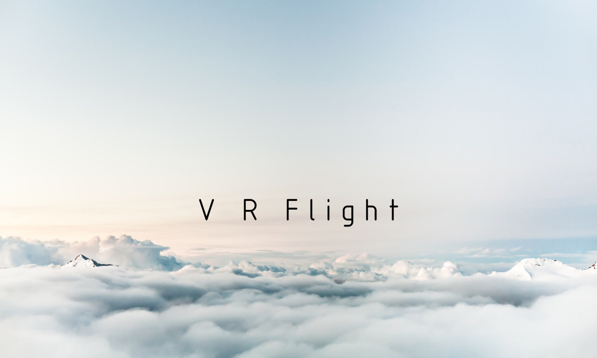 VRFlight